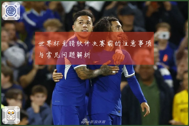 世界杯竞猜软件决赛前的注意事项与常见问题解析