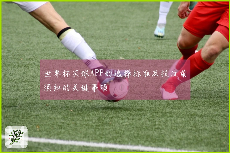 世界杯买球APP的选择标准及投注前须知的关键事项