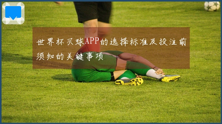 世界杯买球APP的选择标准及投注前须知的关键事项
