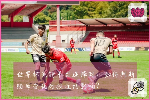 世界杯竞猜平台选择时，如何判断赔率变化对投注的影响？