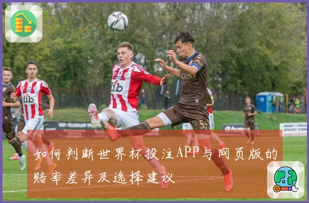 如何判断世界杯投注APP与网页版的赔率差异及选择建议